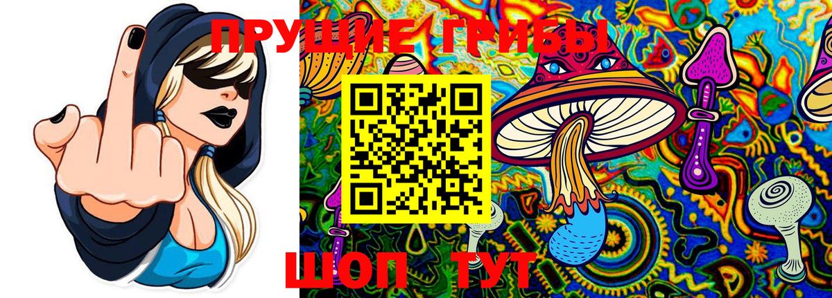 Тутаев  Галлюциногенные грибы мицелий  Вход с VPN 